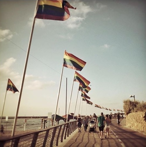 20 melhores fotos da parada LGBT de Tel Aviv 2018