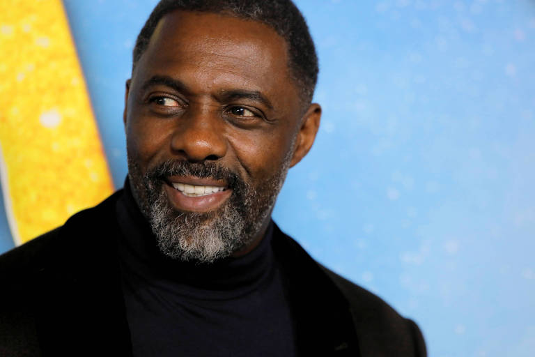 20 grisalhos famosos e gatos: Idris Elba