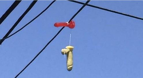 Moradores de Portland, no Oregon, EUA, fotografam dildos (pênis 
