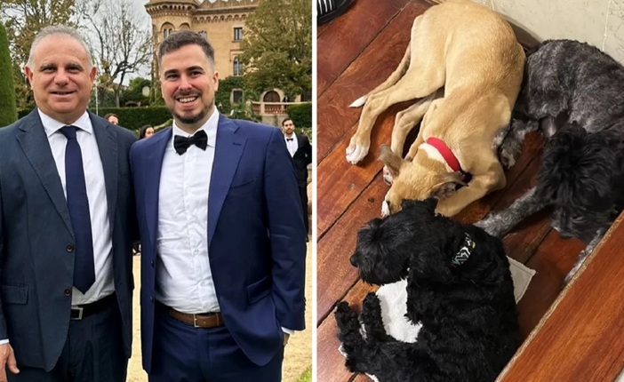 Casal gay na Argentina terá cães como testemunhas