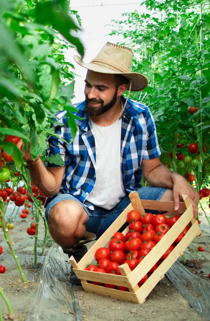 gay rural ministerio dos direitos humanos 
