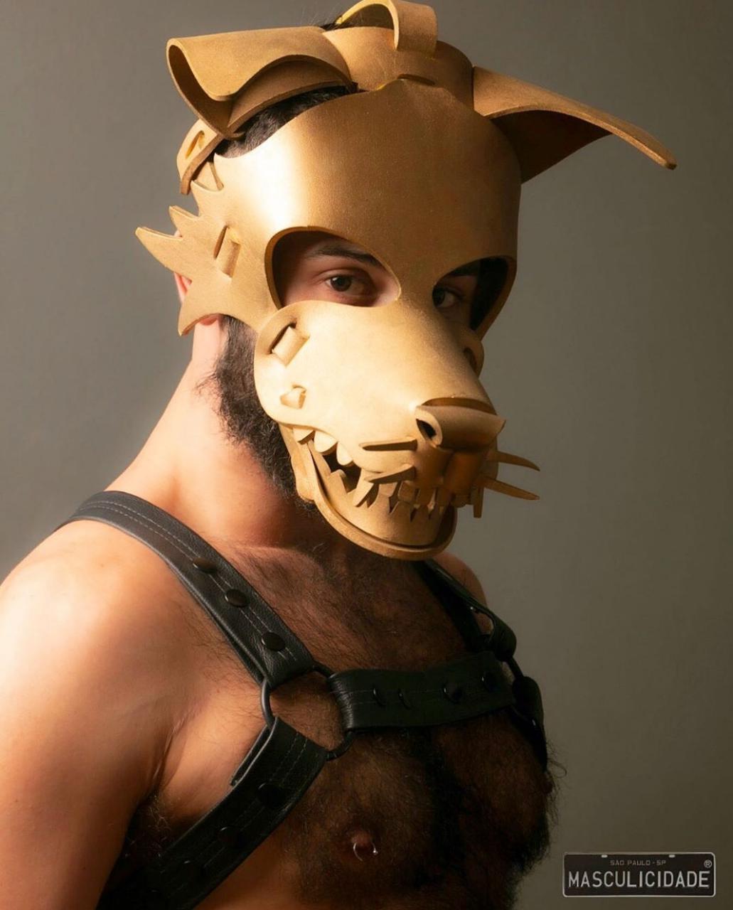 Mister Puppy Brasil: concurso fetichista gay toma conta da Eagle para praticantes de dog training: Alpha