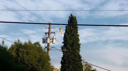 Moradores de Portland, no Oregon, EUA, fotografam dildos (pênis de borracha) dependurados nos fios da cidade