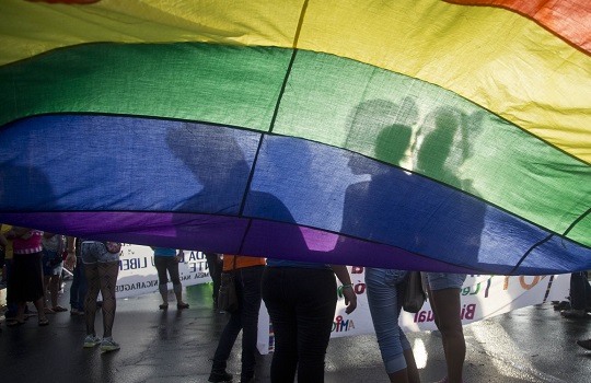 Dia Internacional da Luta contra a Homofobia