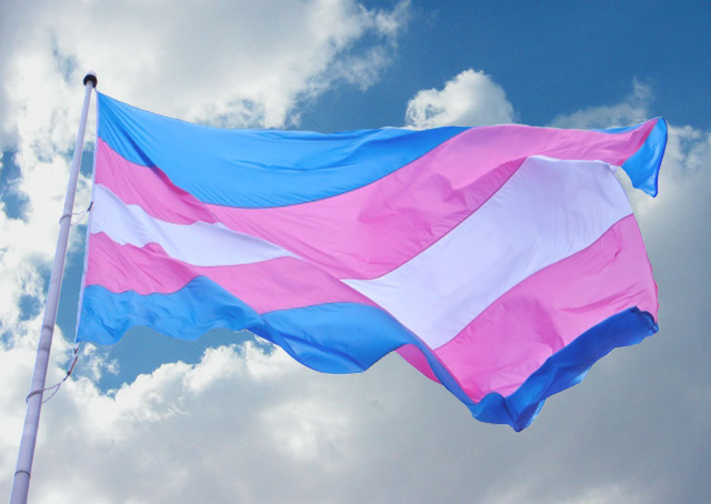 Dinamarca pode deixar de classificar transexualidade e transgêneros como doença mental