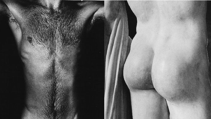 Young Male: Fotografias de Alair Gomes - exposição de arte homoerótica na Casa Triângulo