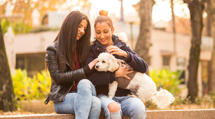 Lésbicas têm mais gatos e cães do que gays, diz pesquisa