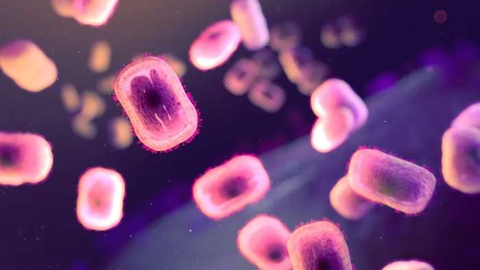 Nova cepa da mpox é mais mortal, avisa a OMS
