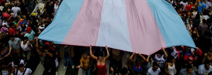 parada lgbt bandeira trans