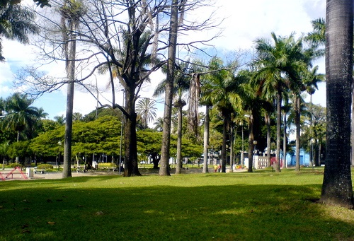 Praça Floriano Peixoto, no Bairro Santa Efigênia, é palco para campeonato de queimada entre drag queens