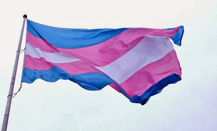 Organização Mundial da Saúde retira transexualidade da lista de doenças