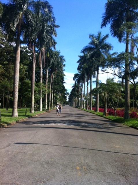 Jardim Botânico, dentro do Parque do Estado, na Zona Sul da capital
