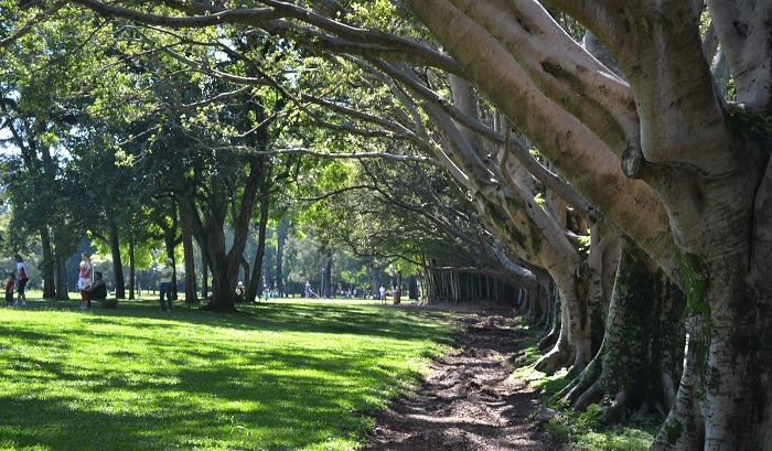 Parque Ibirapuera - point gay da cidade de São Paulo