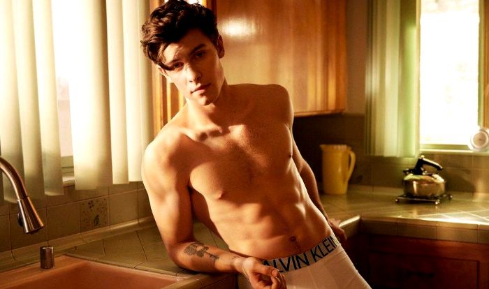 Shawn Mendes fala sobre boatos de que é gay