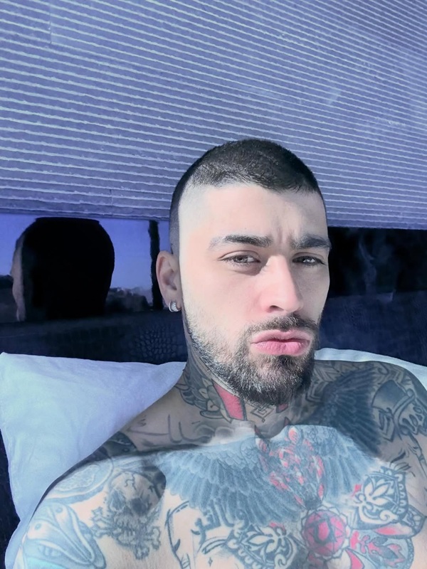 Zayn Malik é bissexual?