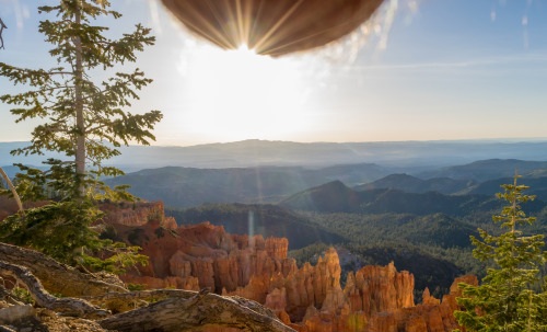 Fotos de paisagens tiradas por baixo dos testículos vira mania