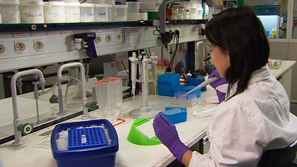 Mais uma criança parece ter sido curada do HIV, relatam médicos